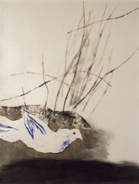 Constant Nieuwenhuys-Vogel (Duif), 1952