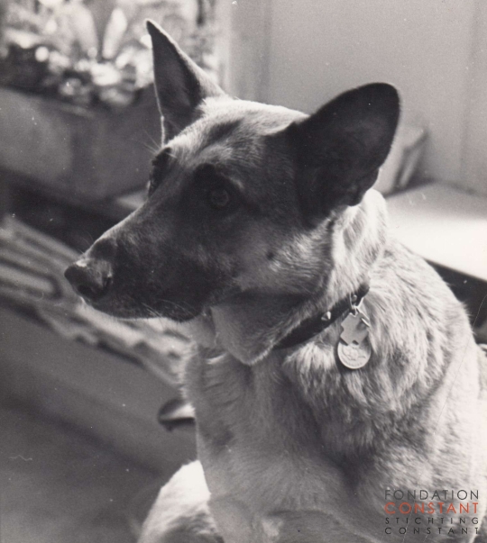 Herta