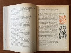 1952 Held og Hasard-06 p.8-9