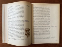 1952 Held og Hasard-08 p.12-13