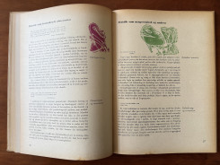 1952 Held og Hasard-15 p.26-27