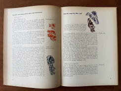 1952 Held og Hasard-20 p.36-37