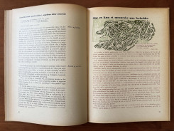 1952 Held og Hasard-25 p.46-47