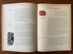 1952 Held og Hasard-27 p.50-51