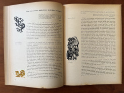 1952 Held og Hasard-39 p.74-75