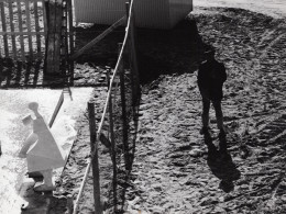 1968 Fontein Leiden-installatie 2