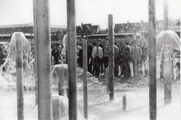 1968 Fontein Leiden-installatie 3