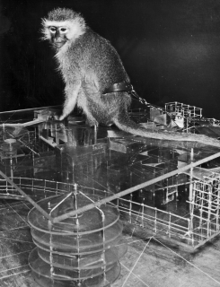 Joco on a construction, 1961