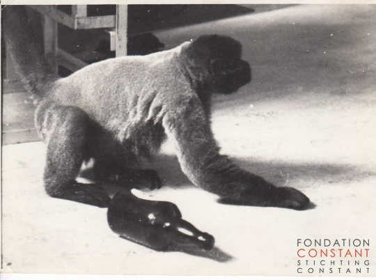 Constant and his pet monkey Boumibol (Boumi) at home, ca 1964.