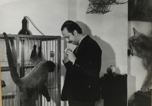 Boumi en Constant voorjaar, 1964