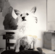 Constant his dog, Tikus.