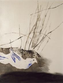 Constant Nieuwenhuys-Vogel (Duif), 1952