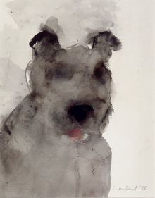 Constant Nieuwenhuys-ZT/Hond met tongetje, 1988 ca